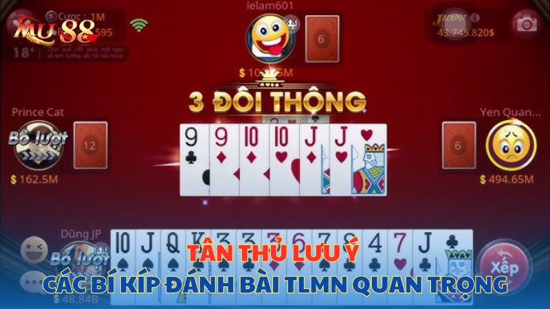 Tân thủ lưu ý các bí kíp đánh bài quan trọng