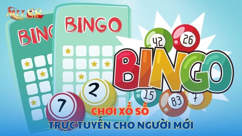 Chơi xổ số trực tuyến cho người mới