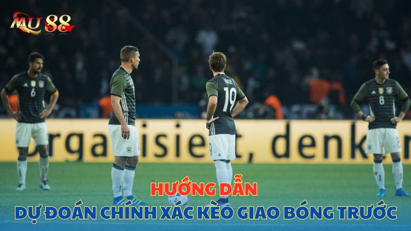 Hướng dẫn dự đoán chính xác