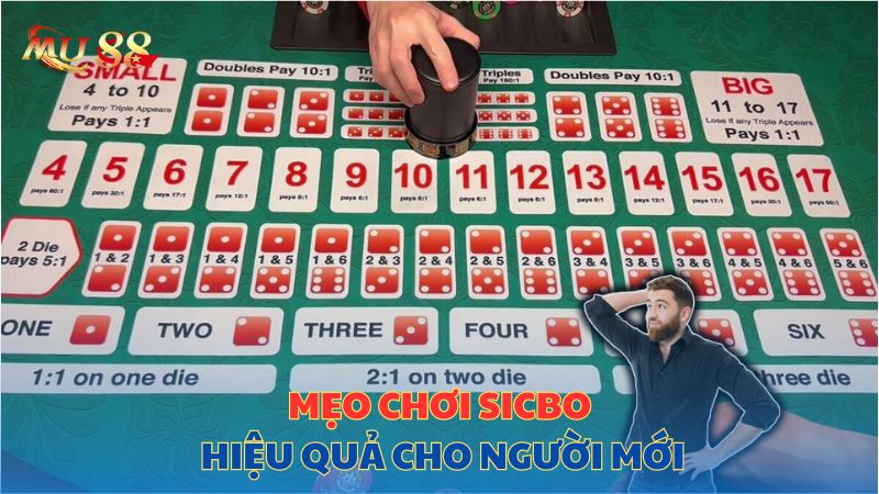 Mẹo chơi sicbo hiệu quả cho người mới