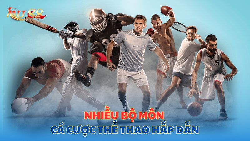 Nhiều bộ môn cá cược thể thao hấp dẫn